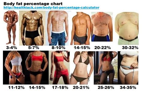 Body Fat Percentage — MyFitnessPal.com