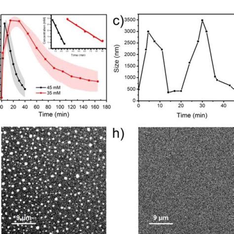 A Dissipative Self Assembly Of Amide Based Droplets Droplets Are