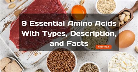 9 Essential Amino Acids With Types Description And Facts