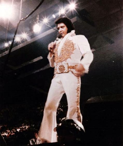 Elvis June 19 1977 Omaha Ne Elvis Presley Pictures Elvis In