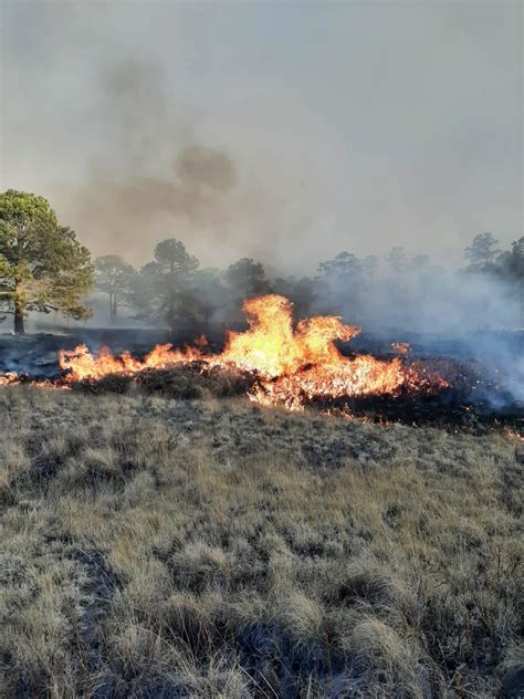 Durango Noveno En Incendios Forestales