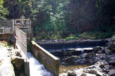 Bonneville Fish Hatchery Dam - Hiking in Portland, Oregon and Washington