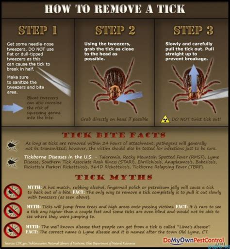 A Quick and Dirty Guide to Tick Removal and Prevention | Ready ...