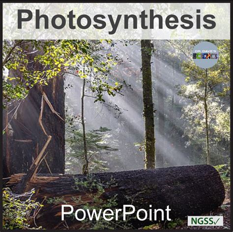 Photosynthesis Powerpoint Ngss Ls Made By Teachers