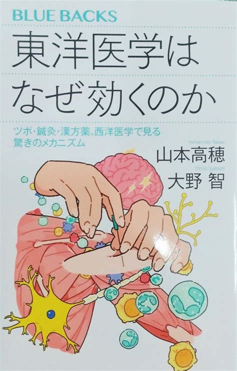 令和6年6月23日、柔術 和泉府中整体日記