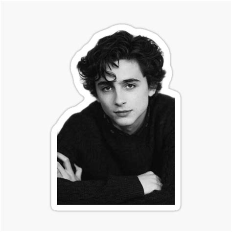 Timothee Chalamet Sticker For Sale By Anniemckenzie Redbubble