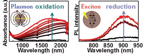 Tuning The Excitonic And Plasmonic Properties Of Copper Chalcogenide