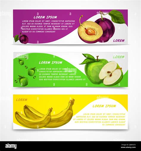 fruit banner design template