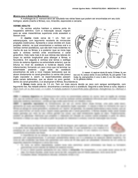 SOLUTION Resumo Parasitologia Humana Studypool