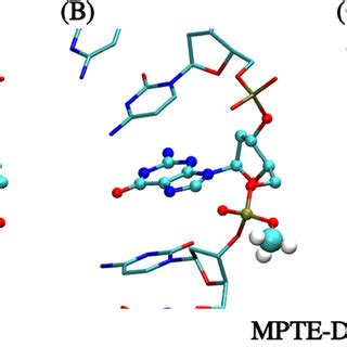 (A) Structure of the wild-type DNA with conventional phosphodiester ...