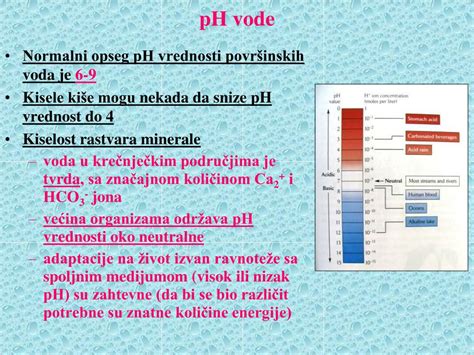 Ppt Zaga Đ Ivanje Ekosistema Kopnenih Voda Powerpoint Presentation