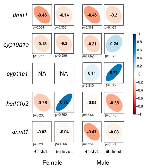 Ijms Free Full Text Exploring The Effects Of Rearing Densities On