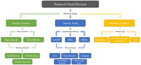 Point Of Need Diagnostics For Foodborne Pathogen Screening Veronica R