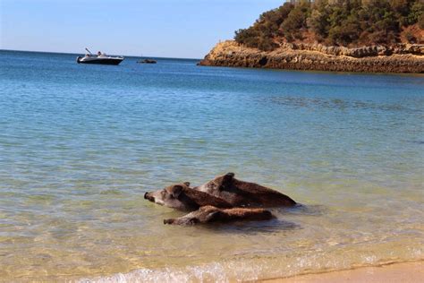 Portugal Conheça O Mais Belo País Da Europa Existe Uma Praia Paradisíaca Em Portugal Em Que