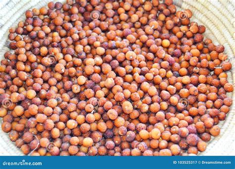 Botswana Indegenous Fruits Mogwana Stock Image Image Of Wild Cattle