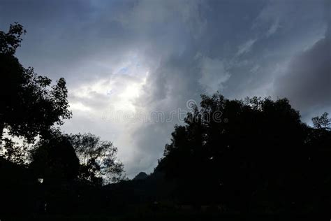 Tree Silhouette On Blue Sky And Cloud Background Beautiful Nature Blue