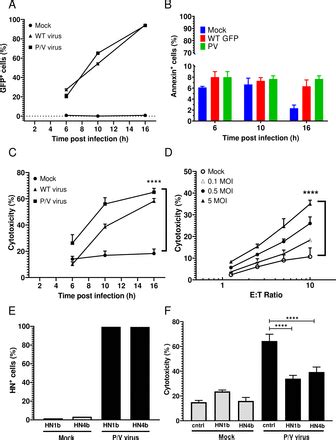 Oncolytic Parainfluenza Virus Combines With NK Cells To Mediate Killing