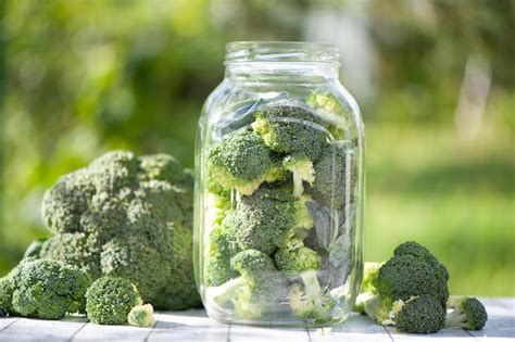 Premium Photo Fermentation Of Cabbage Broccoli Concept Pickles Green