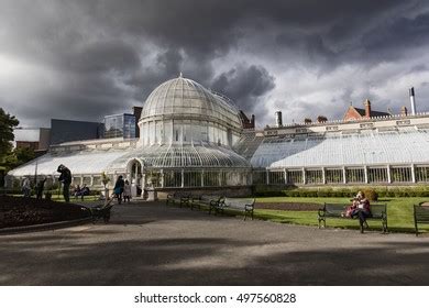 137 Belfast Palm House Royalty Free Images Stock Photos Pictures