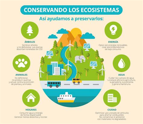 Qué servicios ofrecen los ecosistemas a los humanos Cuovadis