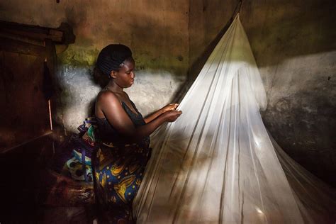 Night Guard: Unfolding the Protective Effects of the Mosquito Net | by USAID | U.S. Agency for ...