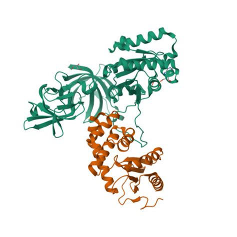 RCSB PDB 4P3Y Crystal Structure Of Acinetobacter Baumannii DsbA In