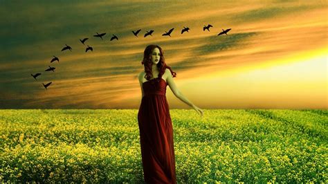 Download Yellow Flower Sunset Bird Flower Field Woman Mood Hd Wallpaper