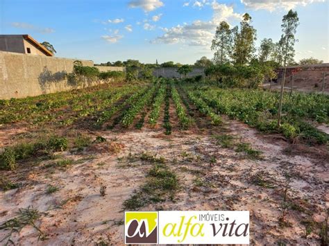 Fazenda S Tio Na Rua Das Glic Nias Sn Ch Cara Iracema Em Salto Por R