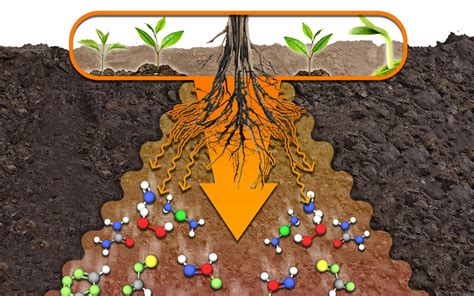 Agrochemist doubles the speed of organic substance decomposition in the ...