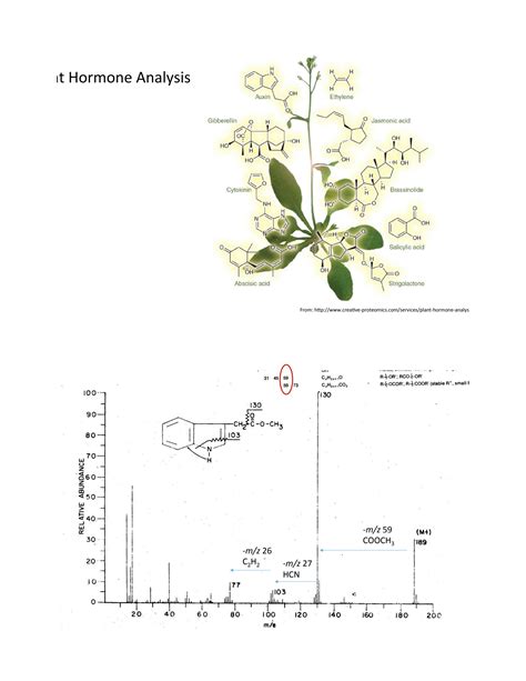 Solution Lec8 Plant Hormone Analysis Studypool