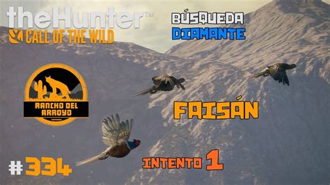 theHunter Call of the Wild 334 EN BUSCA DEL DIAMANTE DE FAISÁN