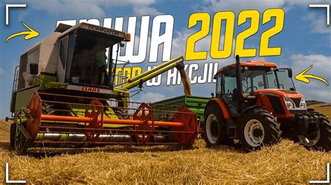 klimatyczne żniwa z claas ą pszenica pod kosę claas dominator 150 Zetor