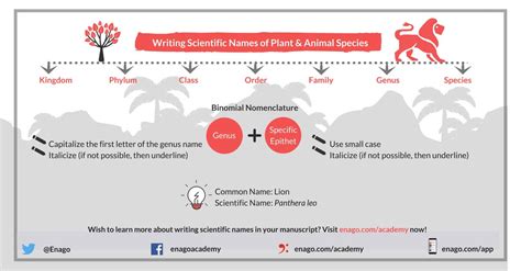 List 6 How To Make Scientific Names - GA Pet Sitters