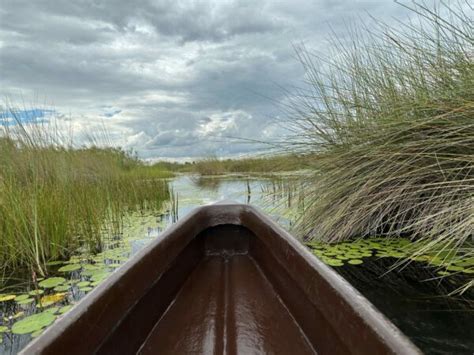 Birding in the Okavango Delta - Travel Beyond