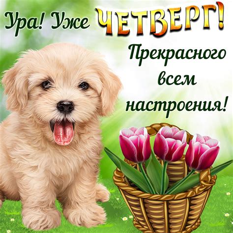 Яндекс картинки на каждый 33 фото