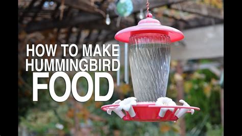 How To Make Hummingbird Food At Home Easy Diy Nectar Recipe Best Diy Pro