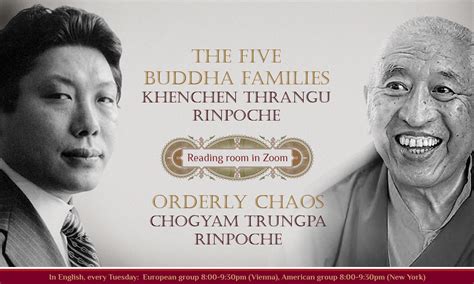 ‘Orderly Chaos’ and ‘The Five Buddha Families’ – DharmaSun