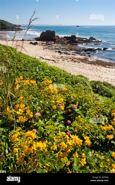 Australia New South Wales Mid North Coast Port Macquarie Flynns