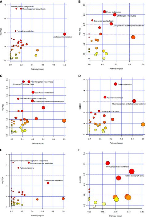 Bubble Plot Of Kegg Pathway Enrichment Analysis A Metabolic Pathways