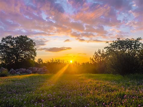 Great Sunrise From My Backyard In Northern California Today Imgur