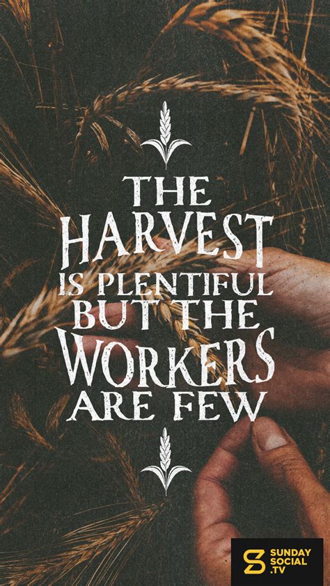 The Harvest Is Plentiful But The Workers Are Few Matthew 9 37