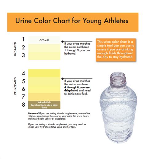 9+ Sample Urine Color Charts – PDF | Sample Templates