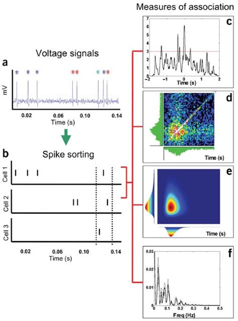 Multiple Neural Spike Train Data Analysis State Of The Art And Future