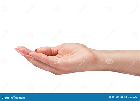 Woman Hand Palm Isolated Stock Photo Image Of Safe 101651162