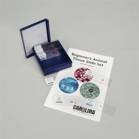 Beginner's Animal Tissue Microscope Slide Set | Carolina Biological Supply