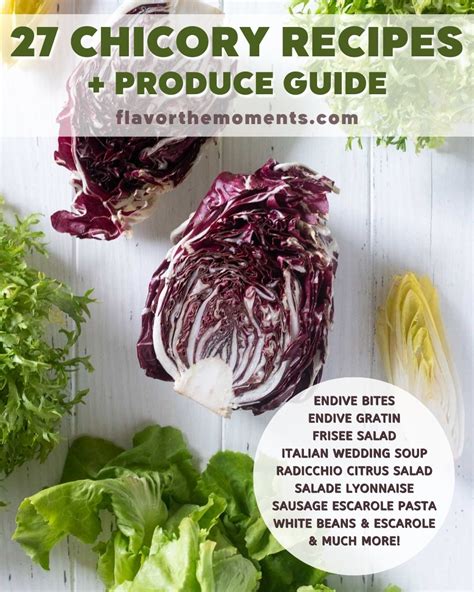 27+ Chicory Recipes (+ Produce Guide) - Flavor the Moments