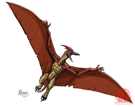 Rodan neo wallpaper - Rodan Fan Art (25201330) - Fanpop