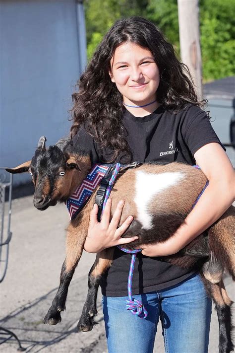 Dozens Of Pets And Their People Parade Through Saxonburg Butler Eagle