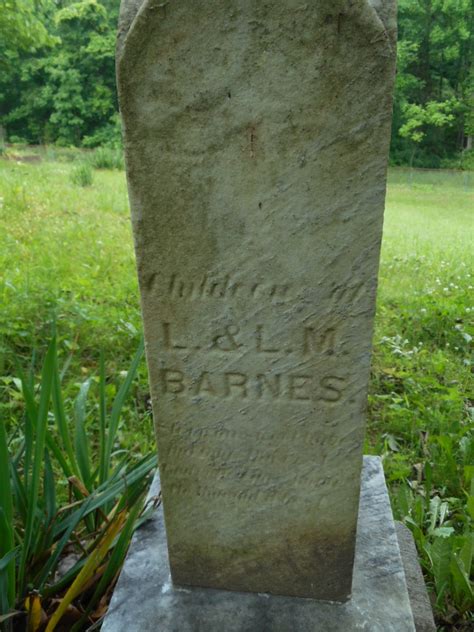 Daughter Barnes 1882 1882 Memorial Find A Grave