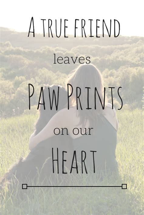 A True Friend Leaves Paw Prints On Our Hearts Petquote Cat Lady